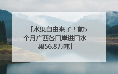 水果自由来了！前5个月广西各口岸进口水果56.8万吨