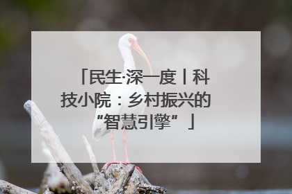 民生·深一度丨科技小院：乡村振兴的“智慧引擎”