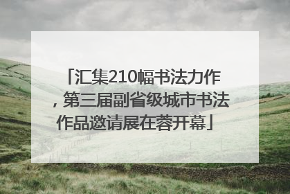 汇集210幅书法力作，第三届副省级城市书法作品邀请展在蓉开幕