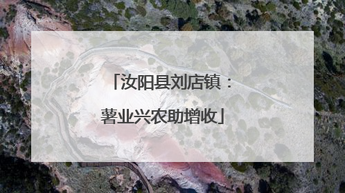 汝阳县刘店镇：薯业兴农助增收