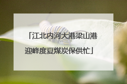 江北内河大港梁山港迎峰度夏煤炭保供忙