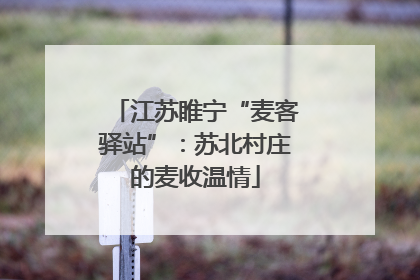 江苏睢宁“麦客驿站”：苏北村庄的麦收温情