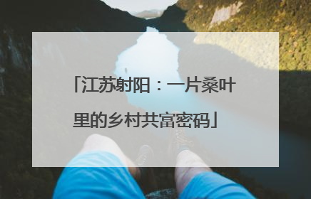 江苏射阳：一片桑叶里的乡村共富密码