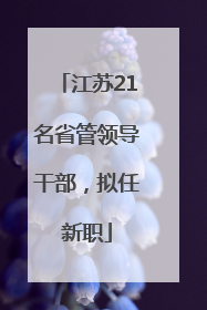 江苏21名省管领导干部，拟任新职
