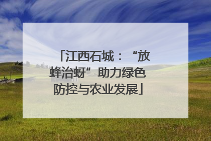 江西石城：“放蜂治蚜”助力绿色防控与农业发展
