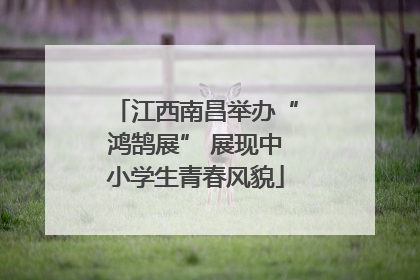 江西南昌举办“鸿鹄展” 展现中小学生青春风貌