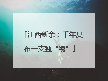 江西新余：千年夏布一支独“绣”