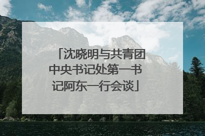 沈晓明与共青团中央书记处第一书记阿东一行会谈