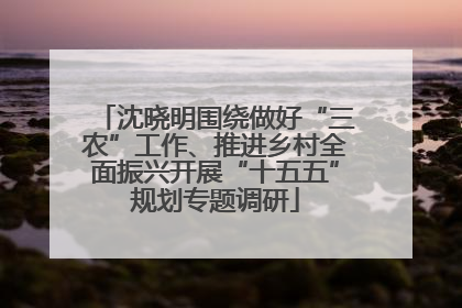 沈晓明围绕做好“三农”工作、推进乡村全面振兴开展“十五五”规划专题调研
