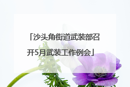 沙头角街道武装部召开5月武装工作例会