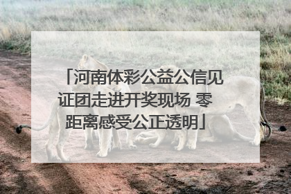 河南体彩公益公信见证团走进开奖现场 零距离感受公正透明