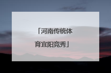 河南传统体育宜阳竞秀