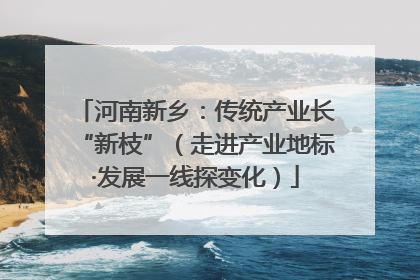 河南新乡：传统产业长“新枝”（走进产业地标·发展一线探变化）