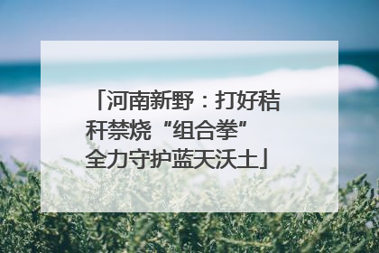 河南新野：打好秸秆禁烧“组合拳” 全力守护蓝天沃土