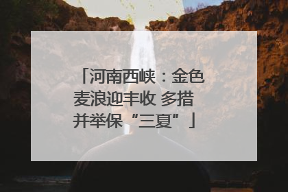 河南西峡：金色麦浪迎丰收 多措并举保“三夏”