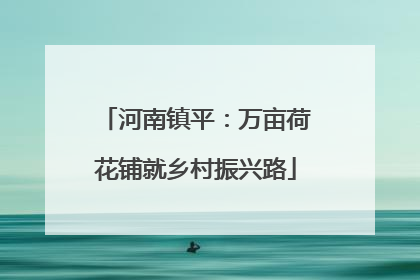 河南镇平：万亩荷花铺就乡村振兴路