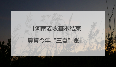 河南麦收基本结束 算算今年“三夏”账