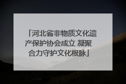 河北省非物质文化遗产保护协会成立 凝聚合力守护文化根脉