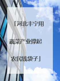 河北丰宁用蔬菜产业撑起农民钱袋子