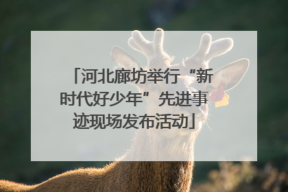 河北廊坊举行“新时代好少年”先进事迹现场发布活动