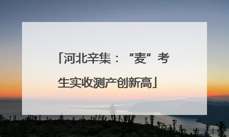 河北辛集：“麦”考生实收测产创新高