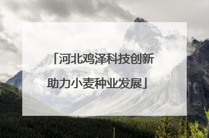 河北鸡泽科技创新助力小麦种业发展