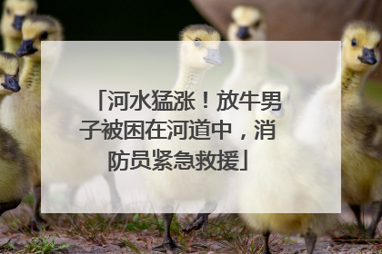 河水猛涨！放牛男子被困在河道中，消防员紧急救援
