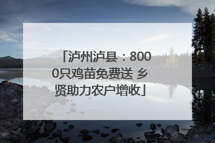 泸州泸县：8000只鸡苗免费送 乡贤助力农户增收
