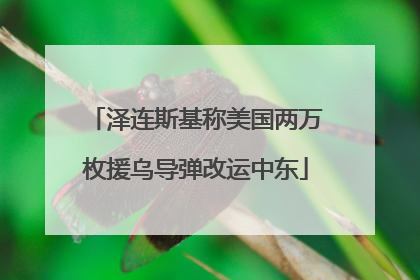 泽连斯基称美国两万枚援乌导弹改运中东