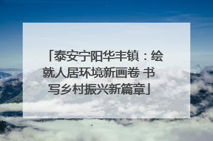 泰安宁阳华丰镇：绘就人居环境新画卷 书写乡村振兴新篇章