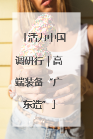 活力中国调研行｜高端装备“广东造”