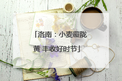 洛南：小麦覆陇黄 丰收好时节