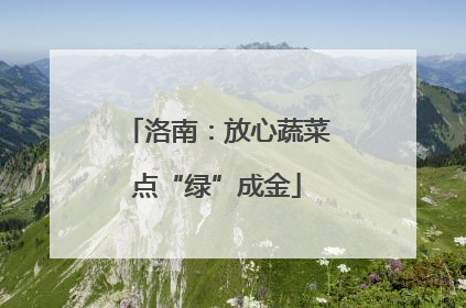 洛南：放心蔬菜点“绿”成金