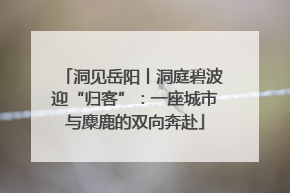 洞见岳阳丨洞庭碧波迎“归客”：一座城市与麋鹿的双向奔赴