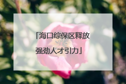 海口综保区释放强劲人才引力
