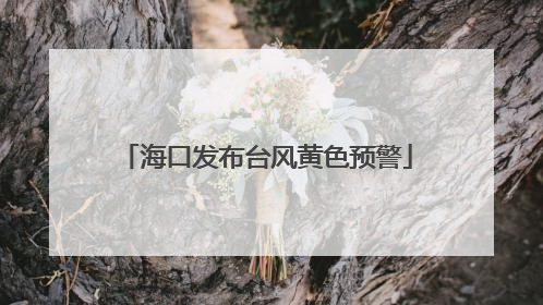 海口发布台风黄色预警