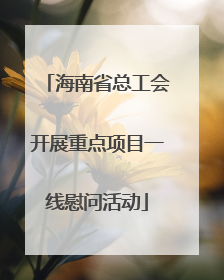 海南省总工会开展重点项目一线慰问活动