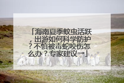 海南夏季蚊虫活跃，出游如何科学防护？不慎被毒蛇咬伤怎么办？专家建议→