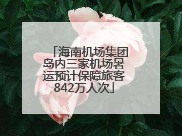 海南机场集团岛内三家机场暑运预计保障旅客842万人次