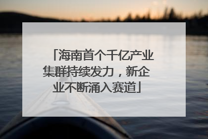 海南首个千亿产业集群持续发力，新企业不断涌入赛道
