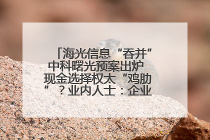 海光信息“吞并”中科曙光预案出炉 现金选择权太“鸡肋”？业内人士：企业不想大量现金流出