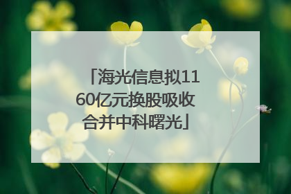 海光信息拟1160亿元换股吸收合并中科曙光