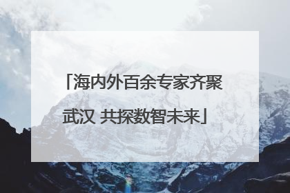 海内外百余专家齐聚武汉 共探数智未来