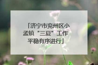 济宁市兖州区小孟镇“三夏”工作平稳有序进行