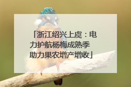 浙江绍兴上虞：电力护航杨梅成熟季 助力果农增产增收