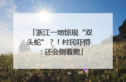 浙江一地惊现“双头蛇”？！村民吓懵：还会倒着爬
