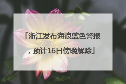 浙江发布海浪蓝色警报，预计16日傍晚解除