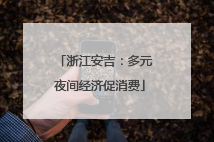 浙江安吉：多元夜间经济促消费