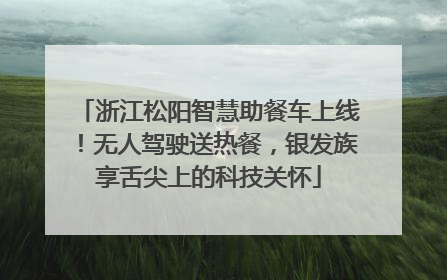 浙江松阳智慧助餐车上线！无人驾驶送热餐，银发族享舌尖上的科技关怀
