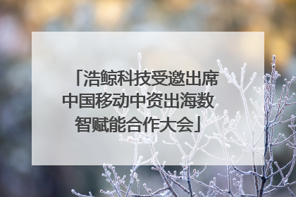 浩鲸科技受邀出席中国移动中资出海数智赋能合作大会